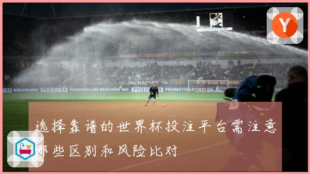选择靠谱的世界杯投注平台需注意哪些区别和风险比对