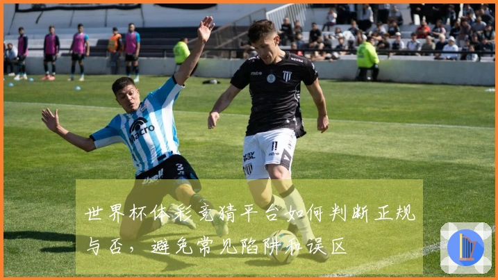 世界杯体彩竞猜平台如何判断正规与否，避免常见陷阱和误区