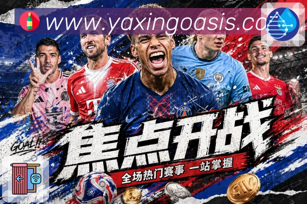 回放与集锦入口